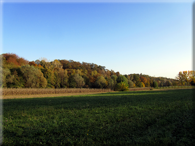 foto Paesaggi Autunnali tra le colline Fontesi